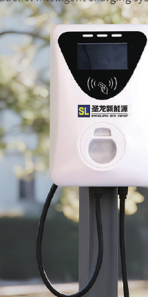 Q22 D & Q22 E Portable EV Charger